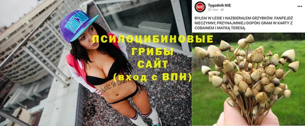 бошки Няндома
